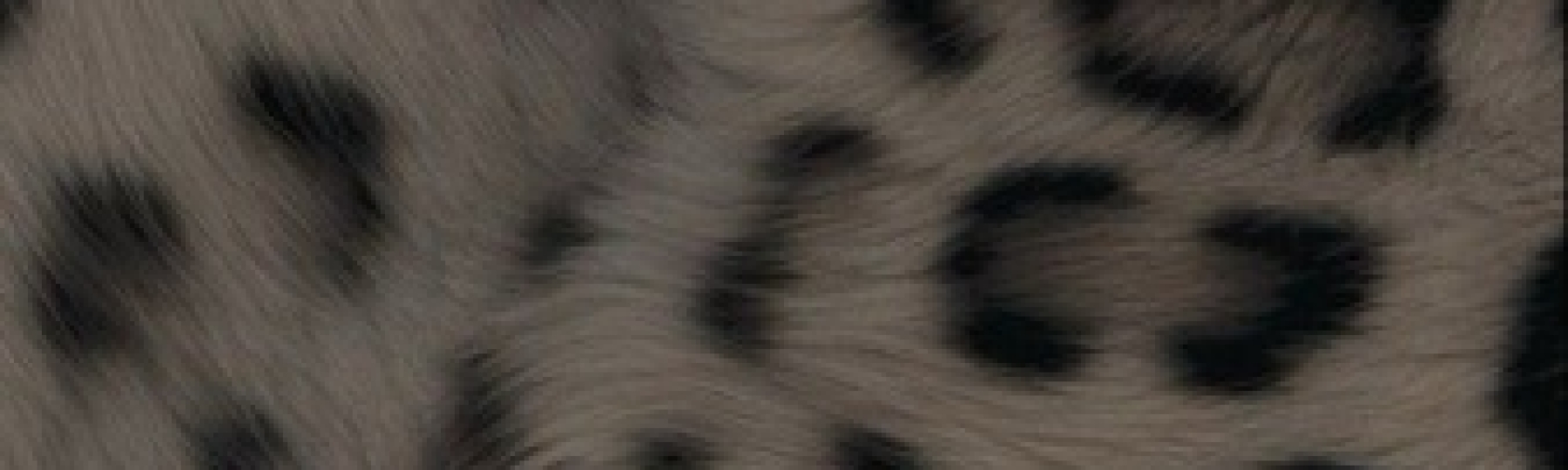 User Cover